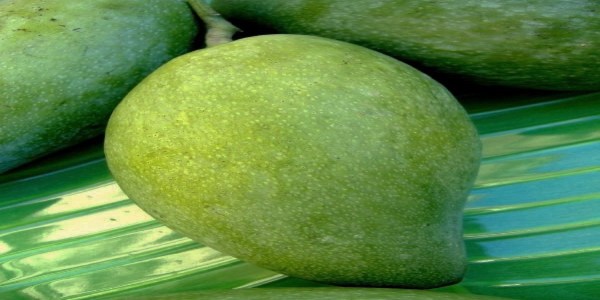 How does this tasty mango called langra aam? What is the story of it?