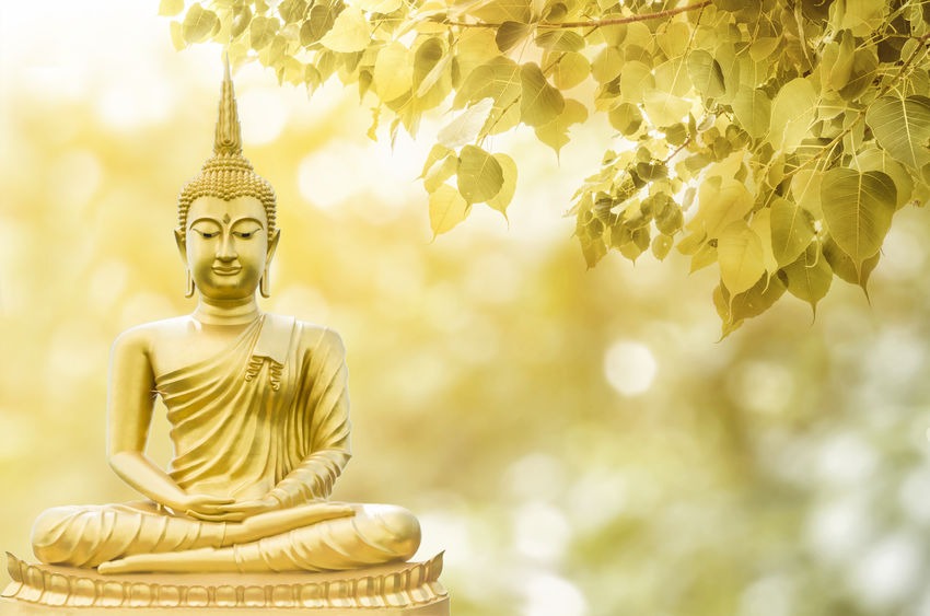 Keep Lord Buddha Statue in Home for Happiness and Prosperity