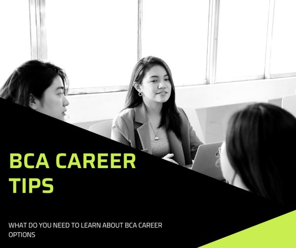 How to make a Golden Career in BCA?