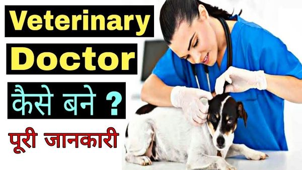 How to become a Veterinary Doctor?