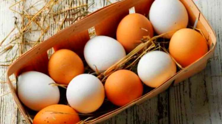 Top 5 Health Benefits Of Eating Egg Regularly