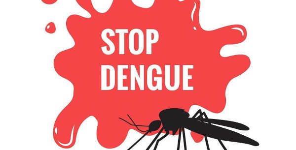 How To Be Safe From Dengue?