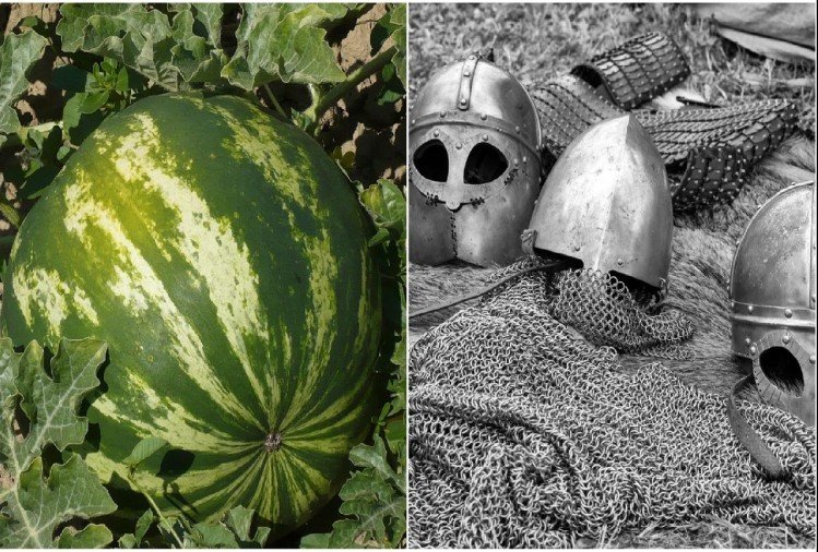 Matire Ki Rad: Thousand Of Bikaner And Nagaur Soldiers Were Died For Watermelon
