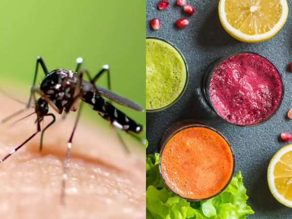 For Fast Recovery Every Dengue Patient Must Follow These Diets