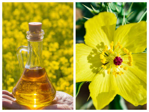 6 Amazing Health Benefits Of Mustard Oil
