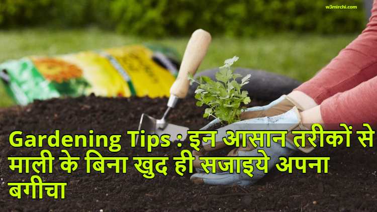 Gardening Tips : Quick easy gardening tips at home, Decorate your garden without gardener