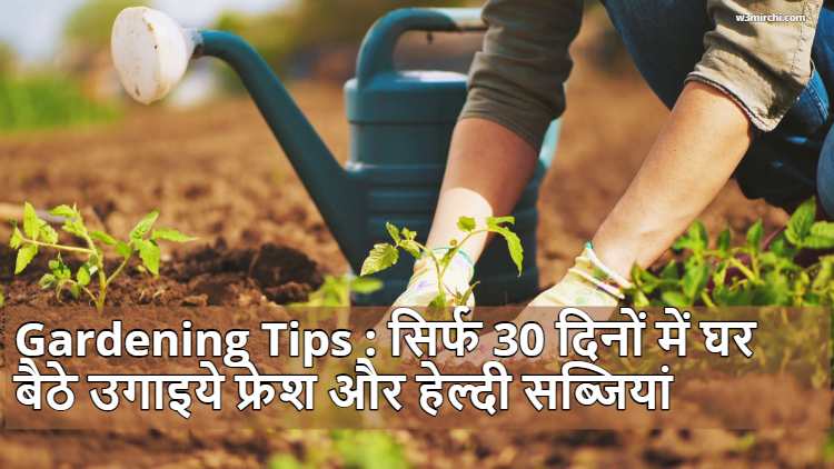 Gardening Tips : Grow Vegetables at Home in 30 days