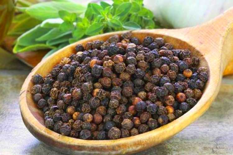 Must know the benefits of black pepper