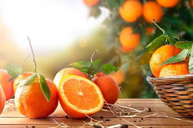 Orange is good for health, to know more about its benefits