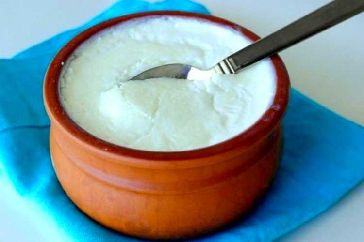 Curd is good for health