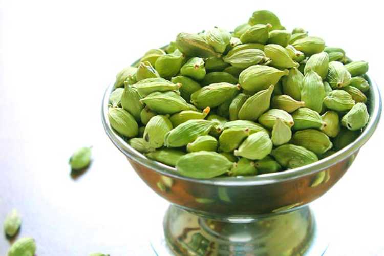 To know the benefits of eating green cardamom
