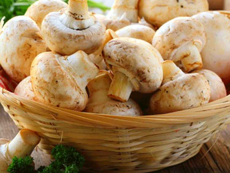 Amazing benefits of eating mushroom