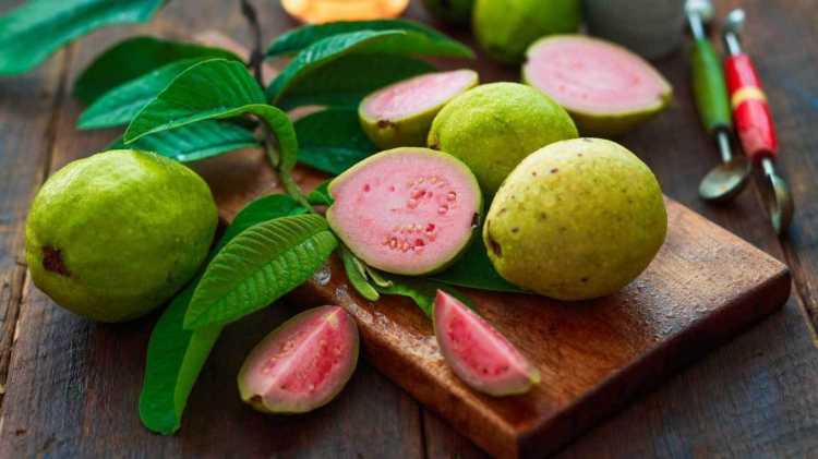Amazing health benefits of guava (Amrud)