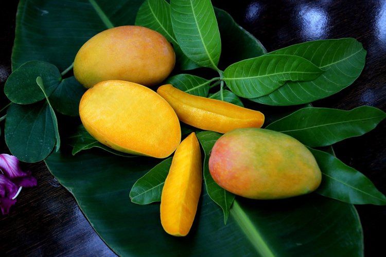 Health benefits of eating mango