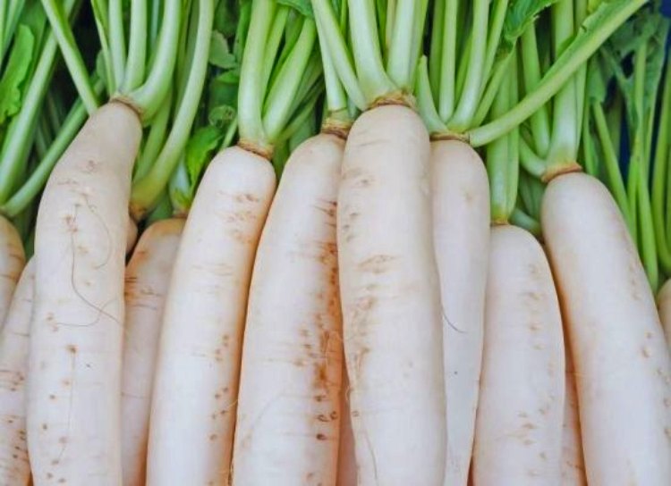 Health benefits of radish (mooli)