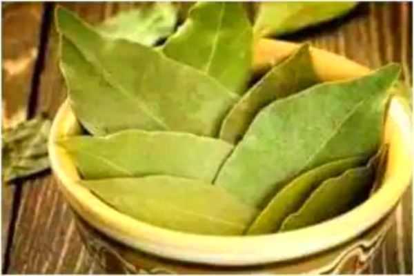 Health benefits of bay leaf tea