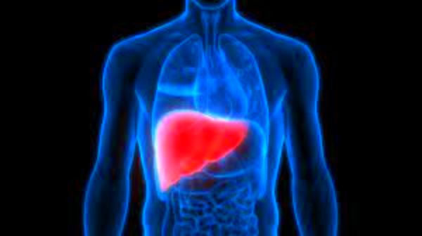 5 ways to keep your liver safe