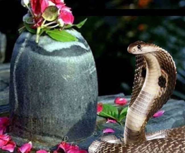 Why do we worship snakes? Story behind nag panchami