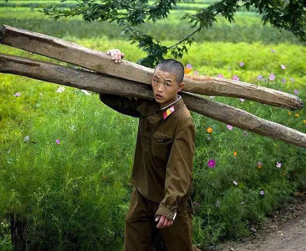 army of north Korea helping people