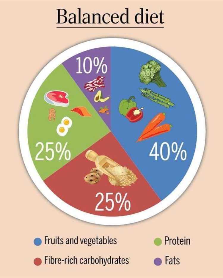 Balanced diet chart