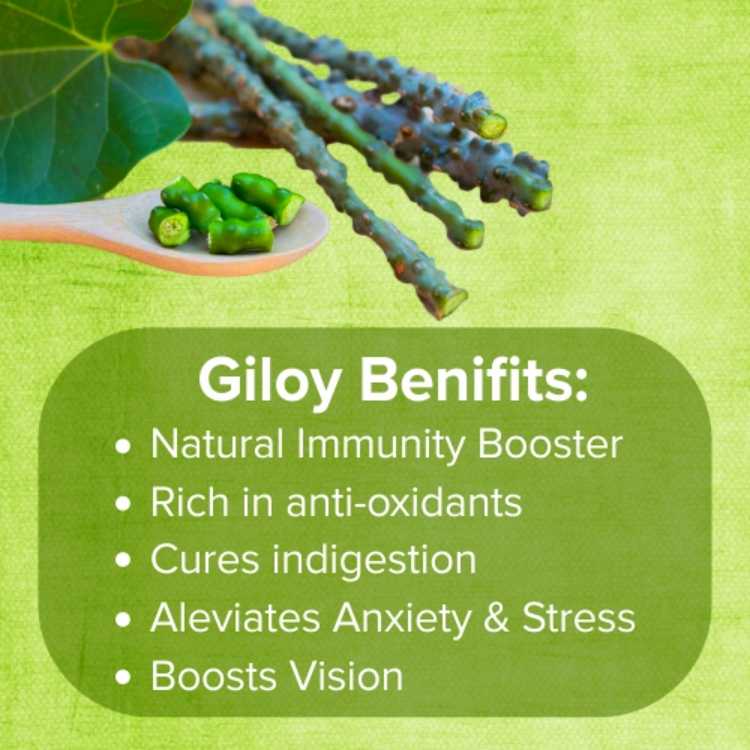 Giloy Benefits