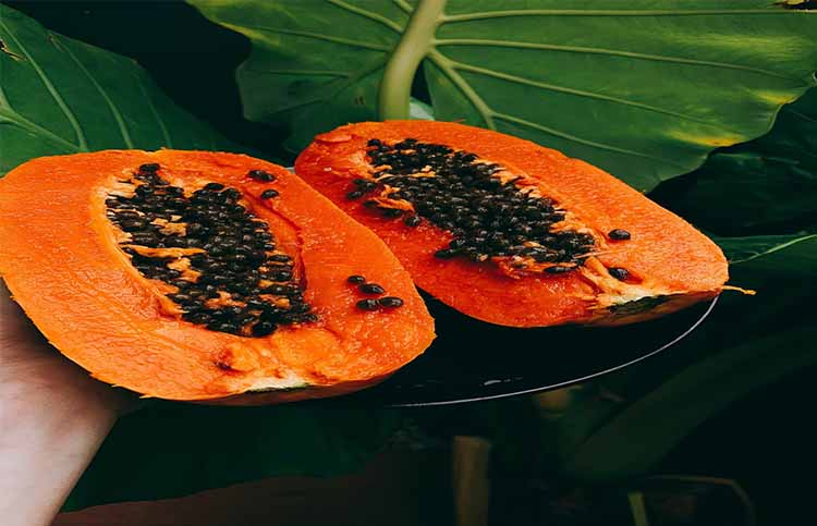 Papaya helps in weight loss