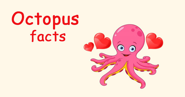Facts on octopus, ऑक्टोपस से जुड़े अनोखे रोचक तथ्य
