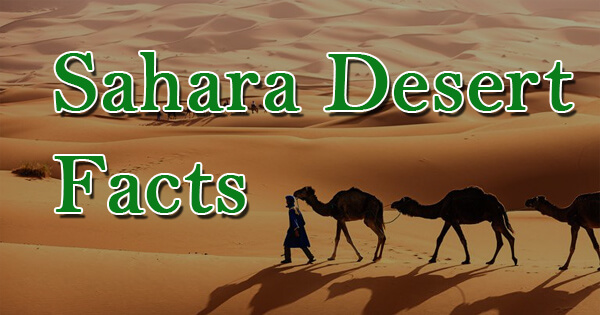 Facts on sahara desert, सहारा रेगिस्तान पर तथ्य
