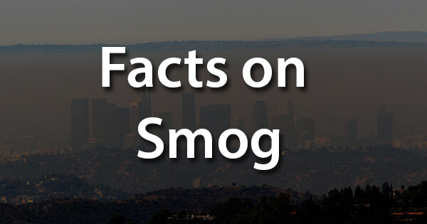 Facts on Smog, स्मॉग पर तथ्य