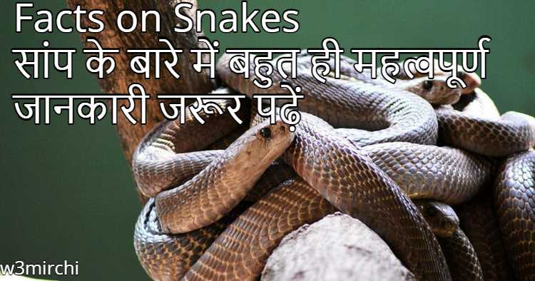 Facts on Snakes, सांप के बारे में बहुत ही महत्वपूर्ण जानकारी जरूर पढ़ें