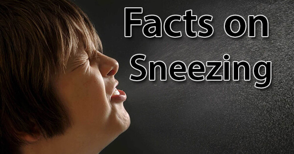 Facts on Sneezing, छींक पर तथ्य