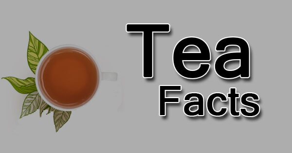 Facts on Tea, चाय पर तथ्य