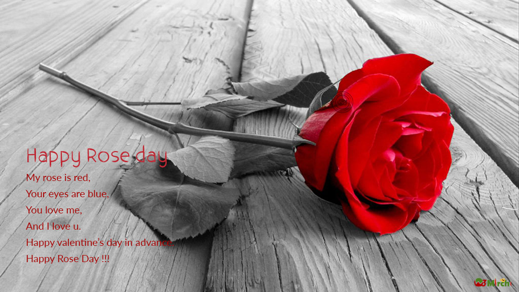 Rose Day Quotes | Page: 1