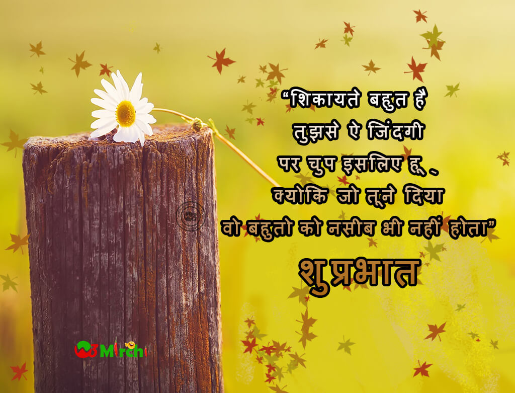 Good Morning Wishes in hindi, Good Morning Image in Hindi, Good ...