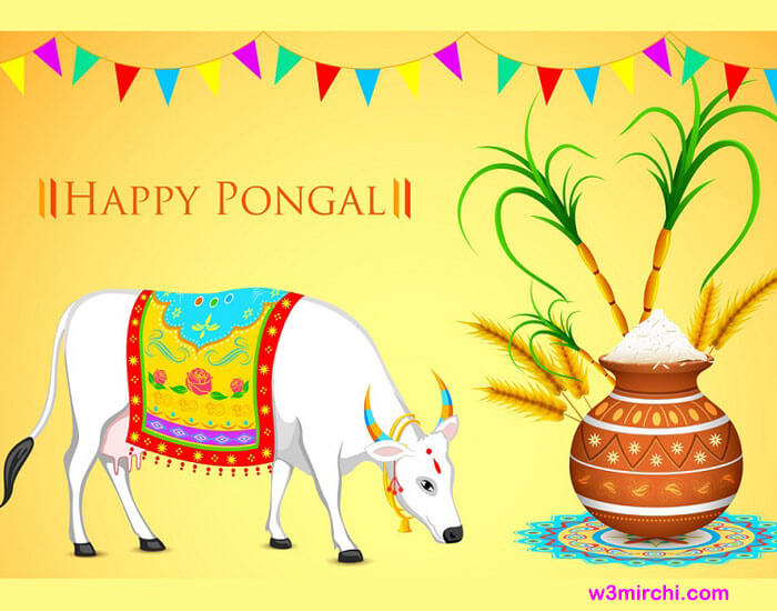 Happy Pongal