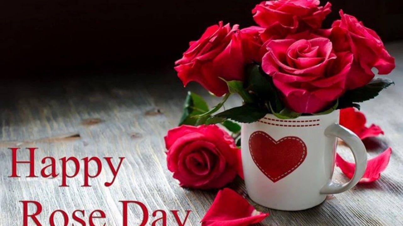 Rose Day Image Valentine Day