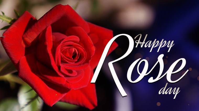 Happy Rose Day Love Image Valentine Day