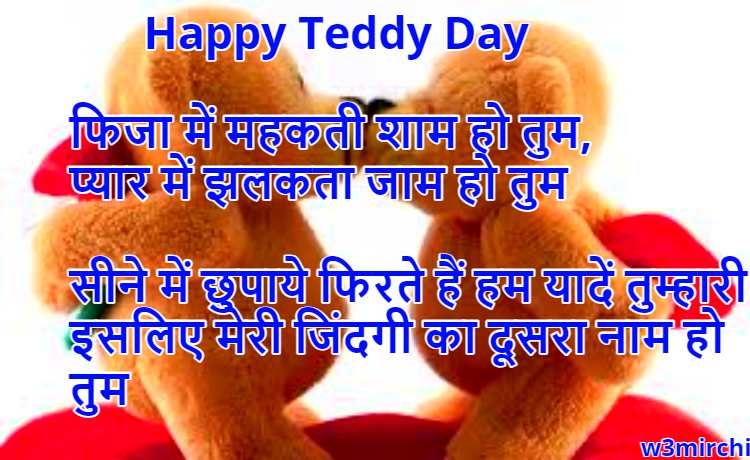 इसलिए मेरी जिंदगी का दूसरा नाम हो तुम Happy Teddy Day Shayari