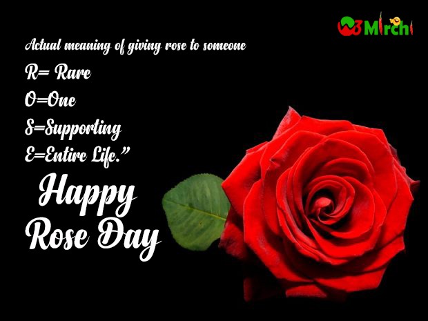 Happy Rose Day Love