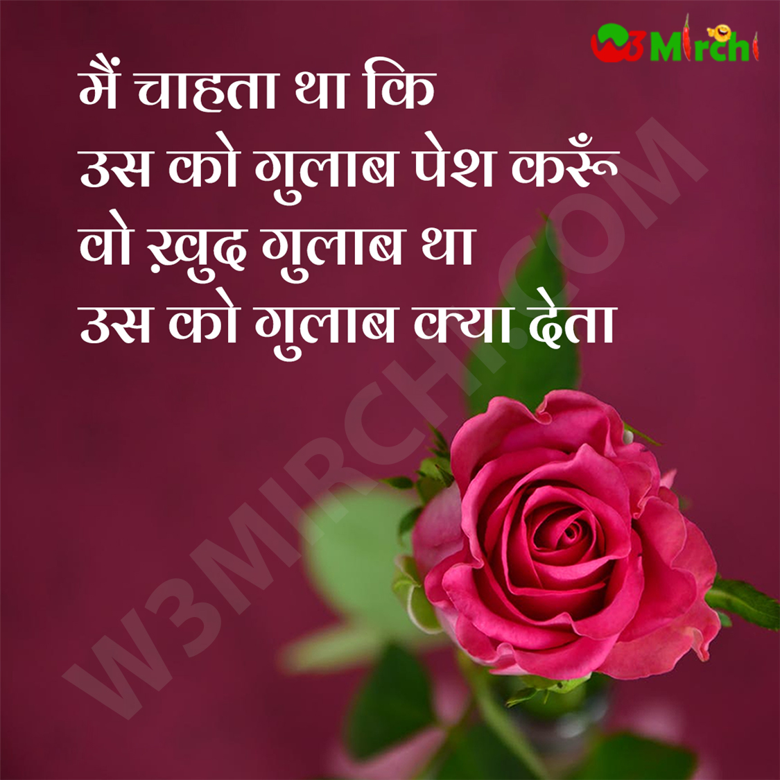 Gulab Shayari गुलाब शायरी