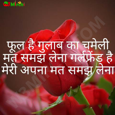 Gulab Shayari फूल है गुलाब का
