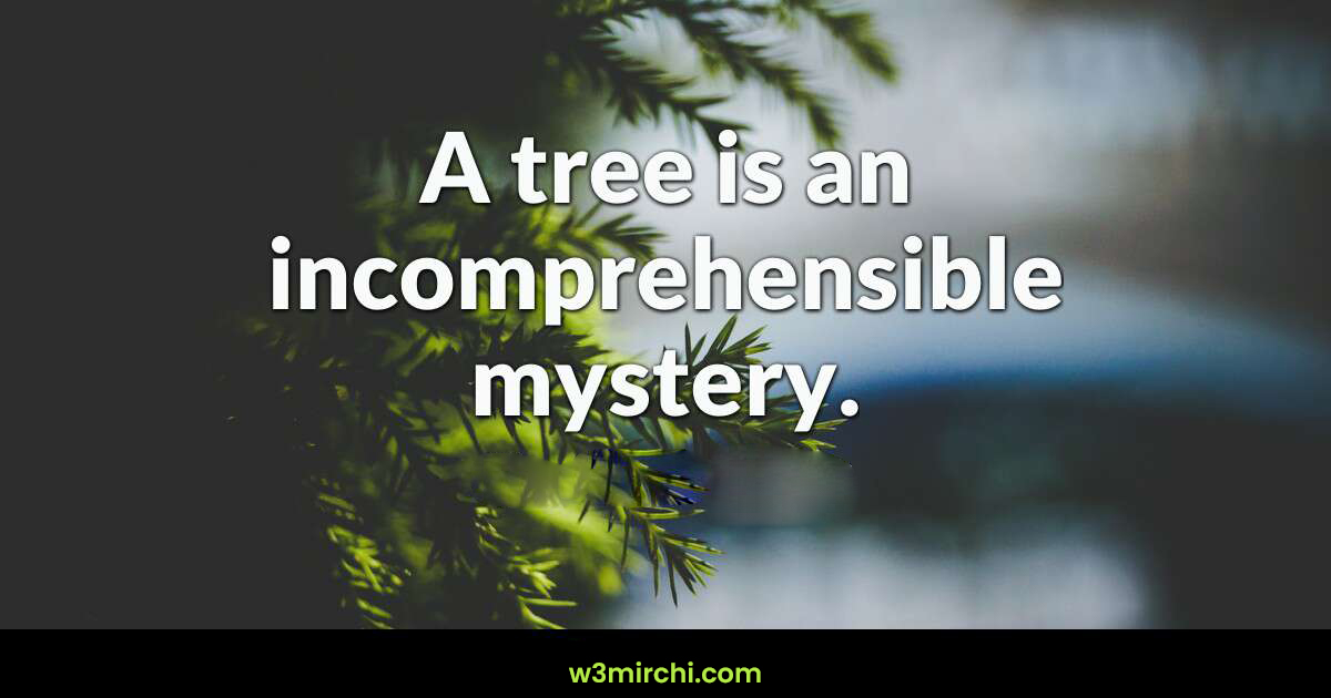 Magic Tree Quotes