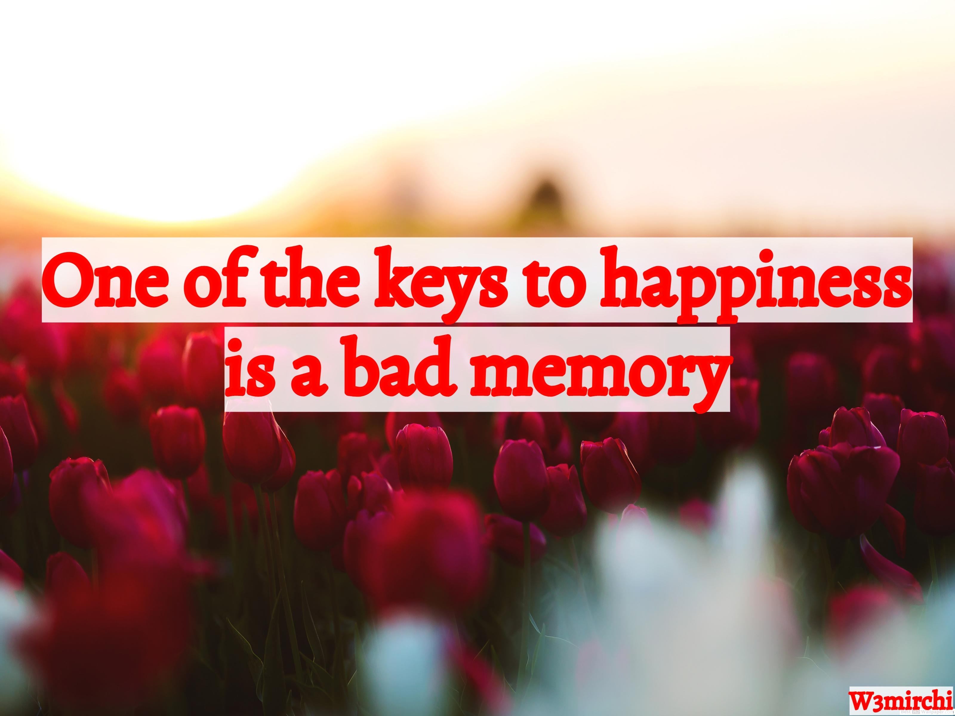 Happiness is a bad Memory