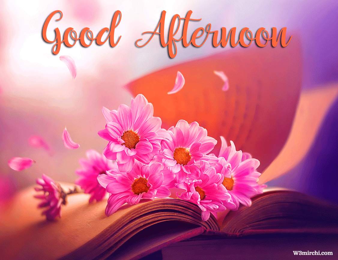 Good Afternoon Sweet Flowers Image - Good Afternoon