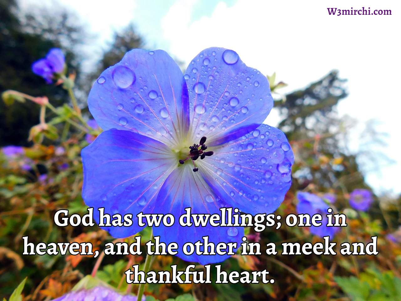 God has two dwellings; one in heaven,