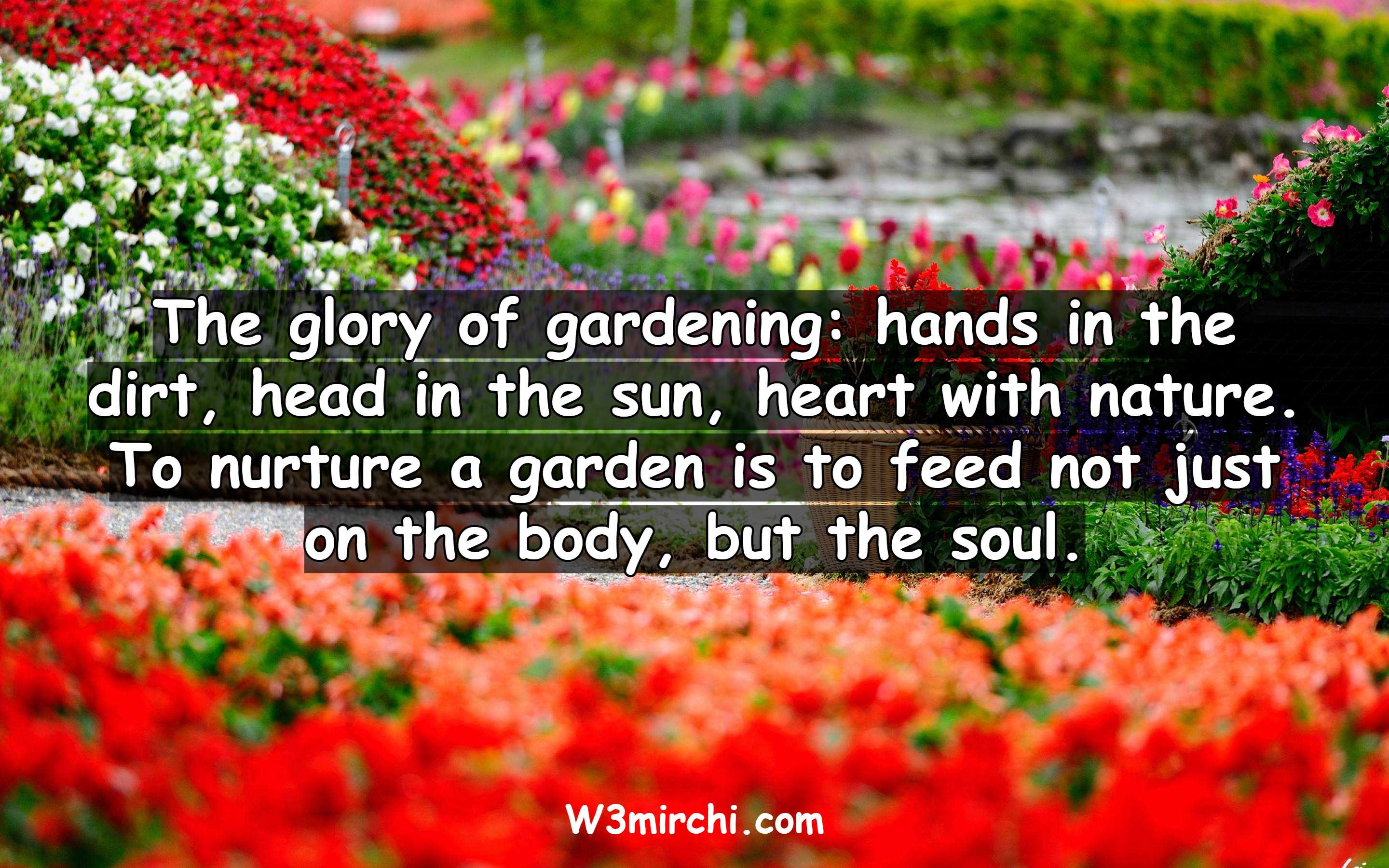 The glory of gardening: hands in the dirt,