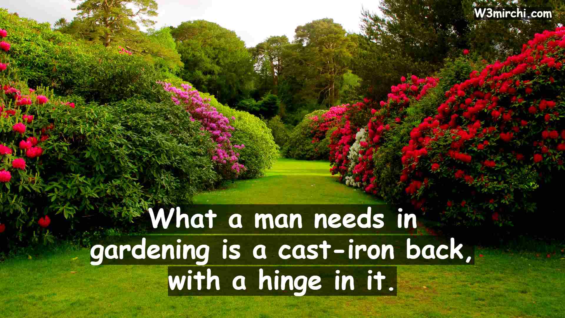 What a man needs in gardening is