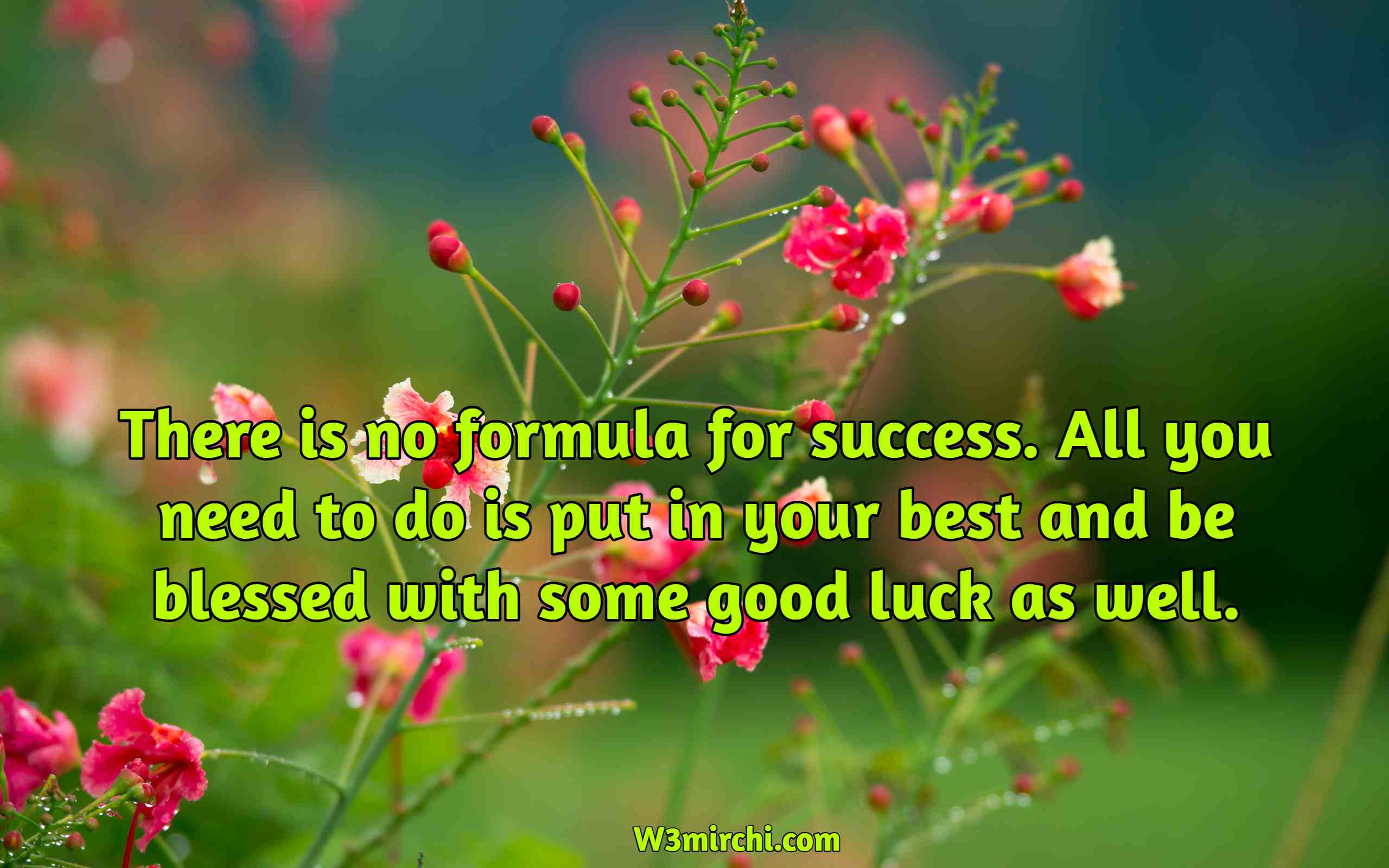 There is no formula for success.