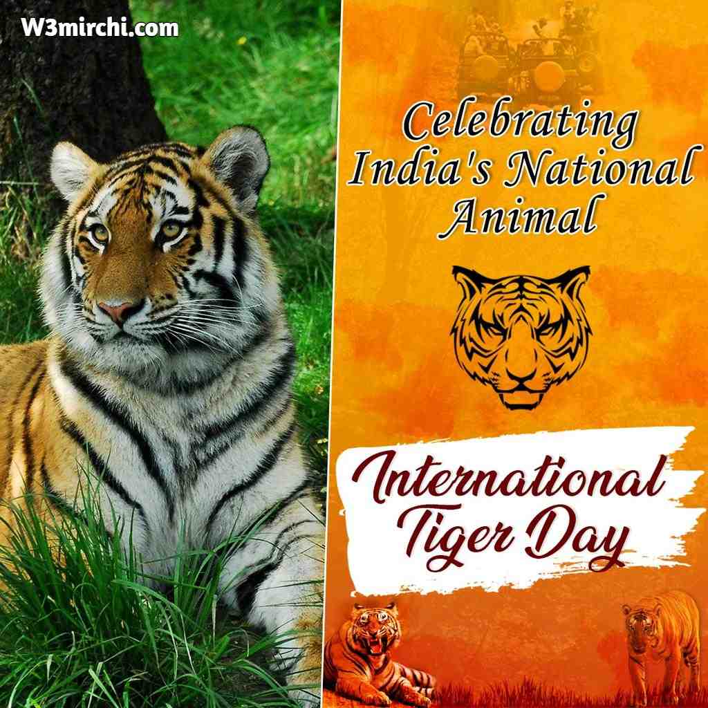 International Tiger Day Images