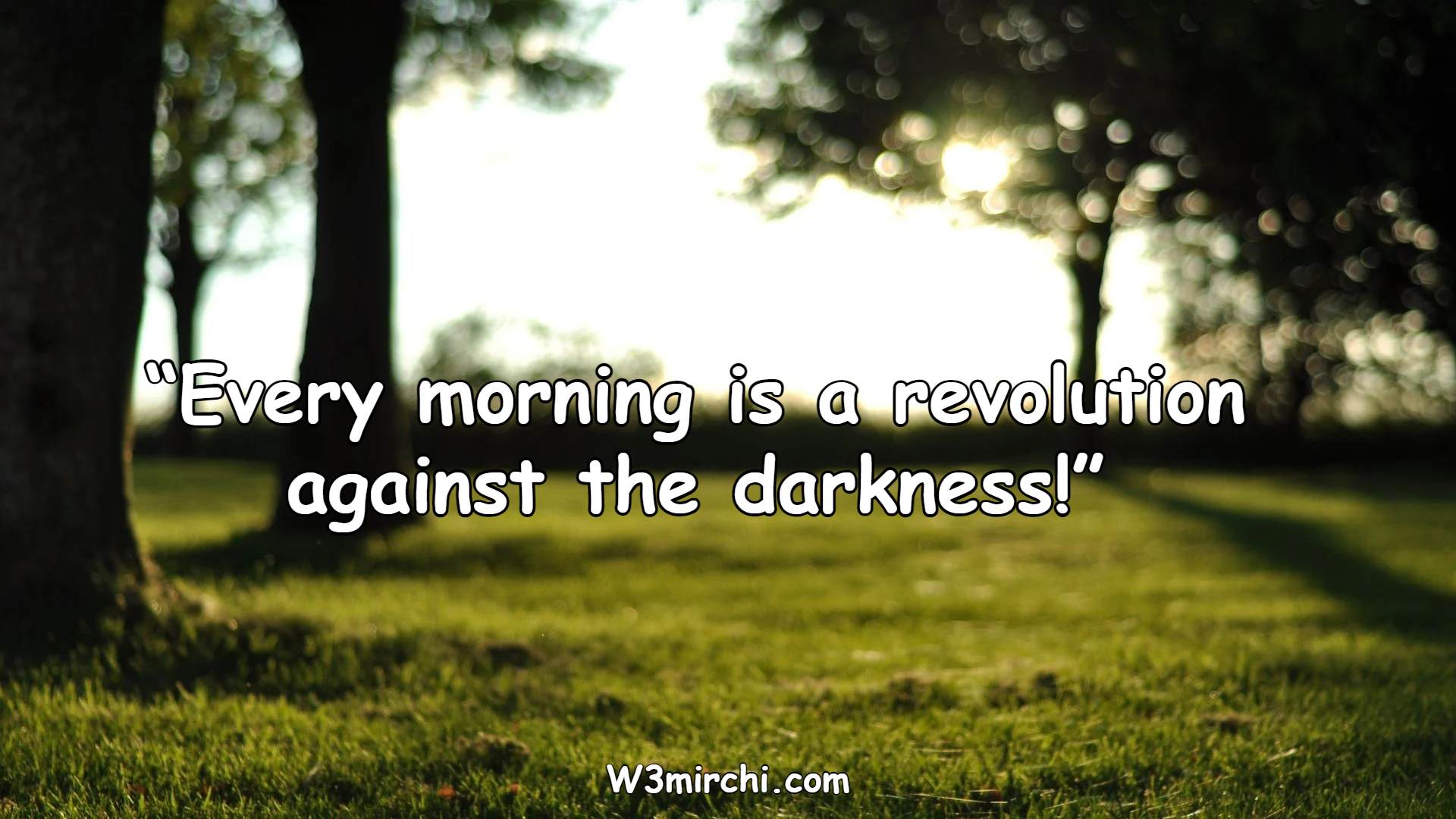 “Every morning is a revolution